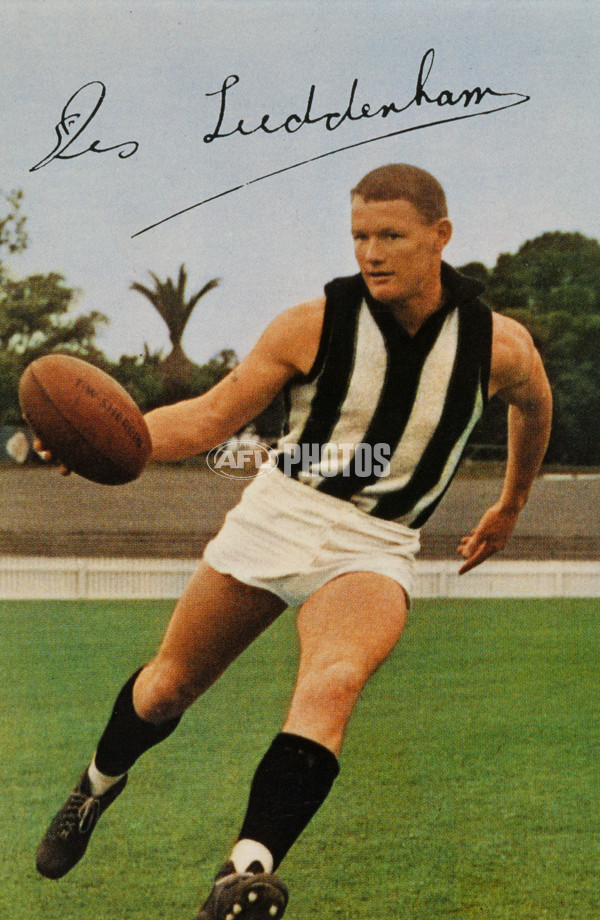 AFL Historical - Collingwood Magpies - 29970