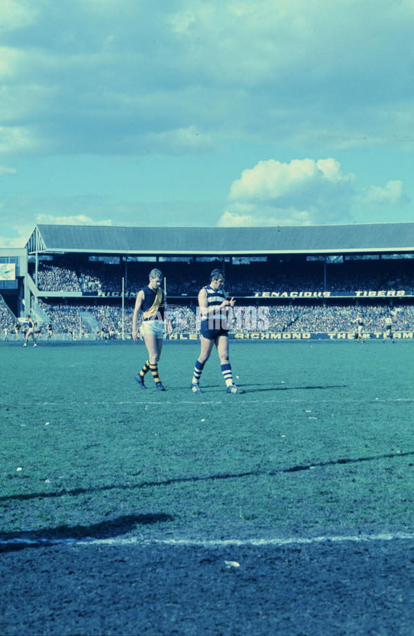 AFL Historical - Geelong Cats - 30987