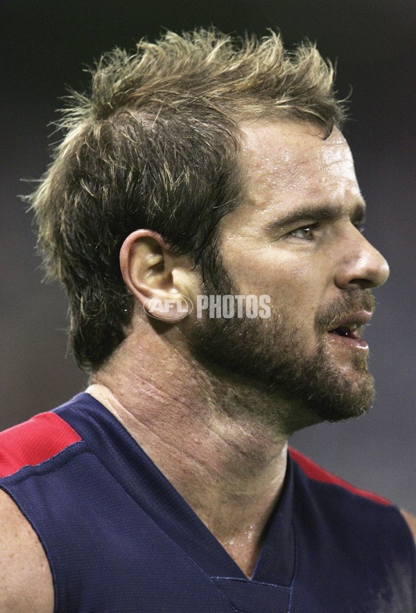 AFL 2006 Rd 12 - St Kilda v Adelaide Crows - 31585