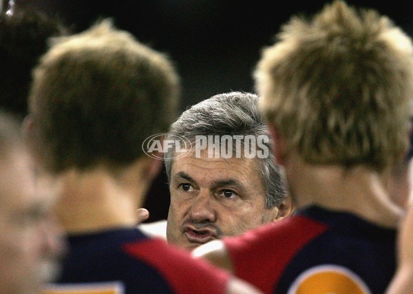 AFL 2006 Rd 12 - St Kilda v Adelaide Crows - 31584