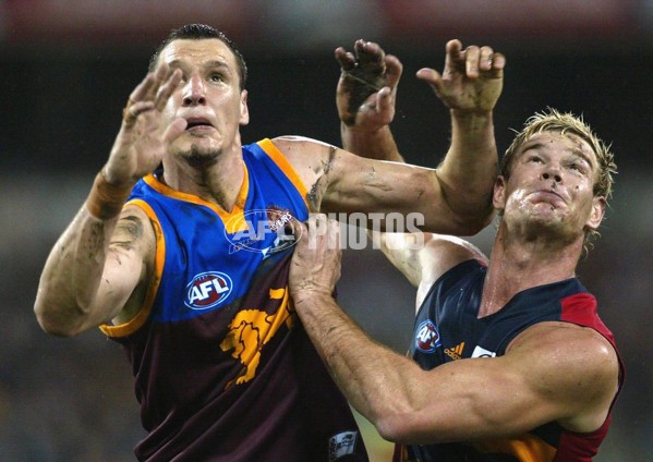 AFL 2006 Rd 11 - Brisbane Lions v Adelaide Crows - 31552