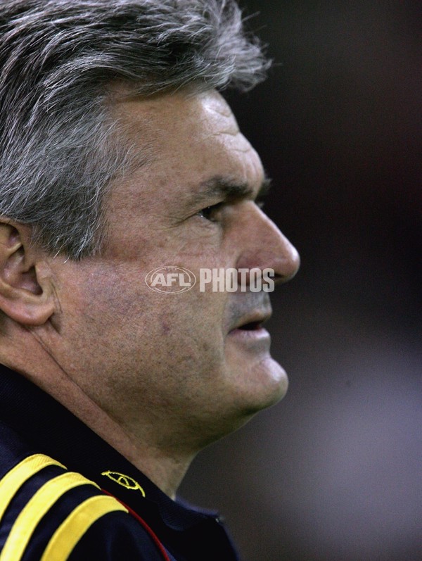 AFL 2006 Rd 12 - St Kilda v Adelaide Crows - 31582
