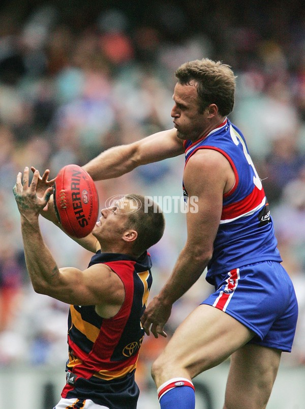 AFL 2006 Rd 20 - Western Bulldogs v Adelaide Crows - 31821