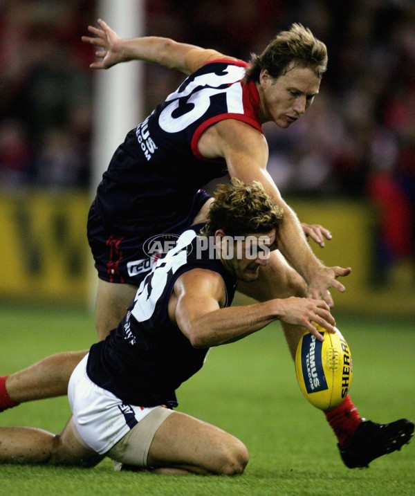 AFL 2006 Rd 1 - Melbourne v Carlton - 32921