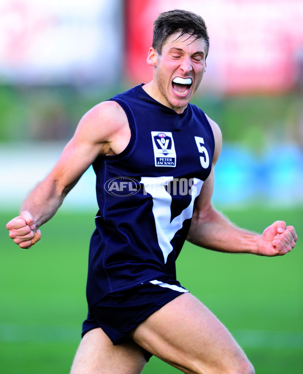 VFL STATE MATCH 2014  - VFL v SANFL - 329545