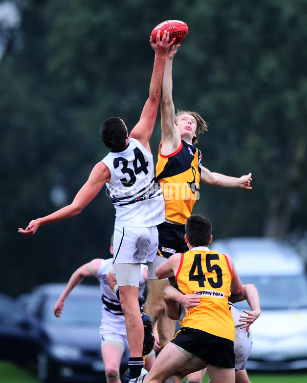 TAC Cup 2014 Rd 09 - Dandenong Stingrays v Northern Knights - 330025