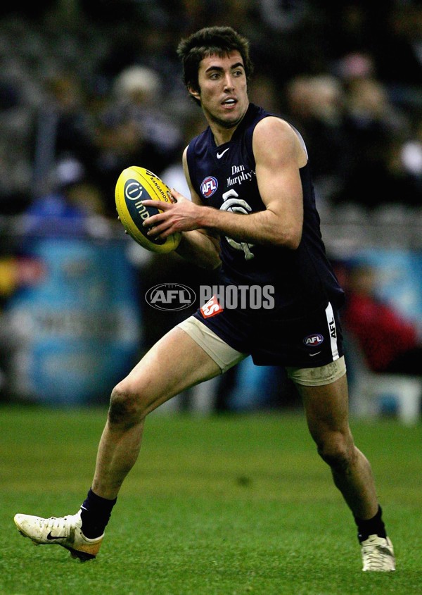 AFL 2006 Rd 14 - Carlton v Geelong - 33332