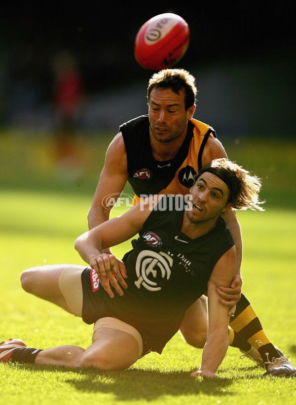 AFL 2006 Rd 20 - Carlton v Richmond - 33477