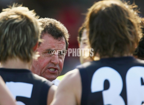 AFL 2006 Rd 22 - Sydney Swans v Carlton - 33541