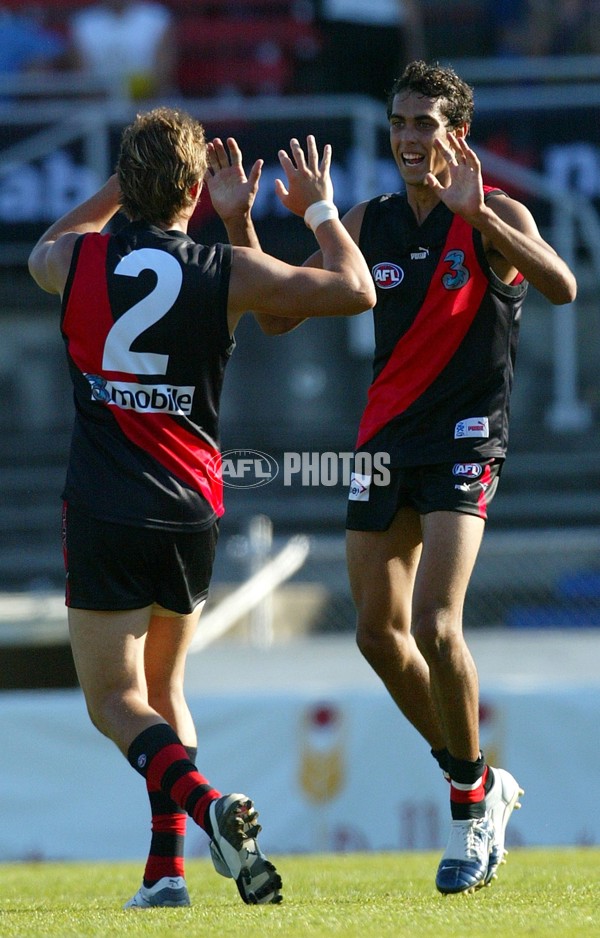 AFL 2006 NAB Challenge - Essendon v Sydney - 34601