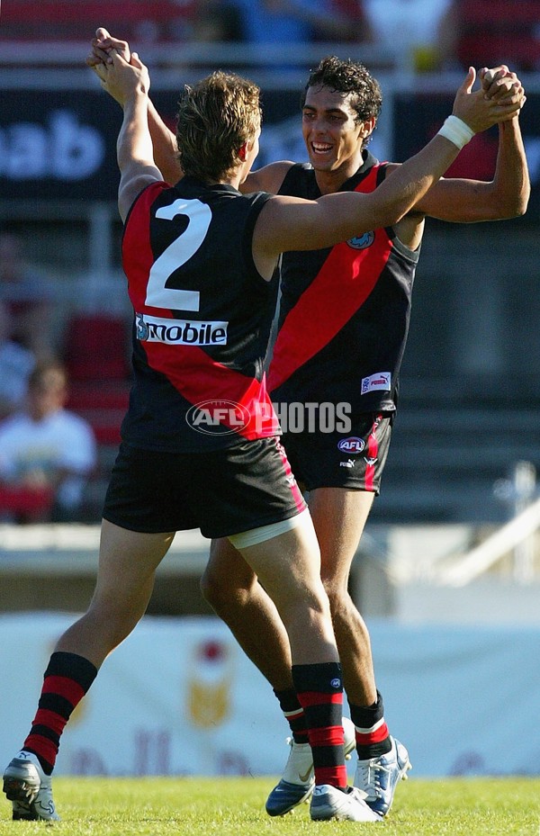 AFL 2006 NAB Challenge - Essendon v Sydney - 34600