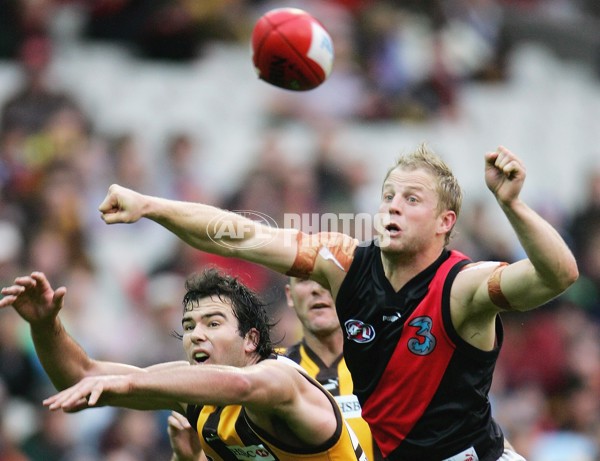 AFL 2006 Rd 5 - Hawthorn v Essendon - 34780