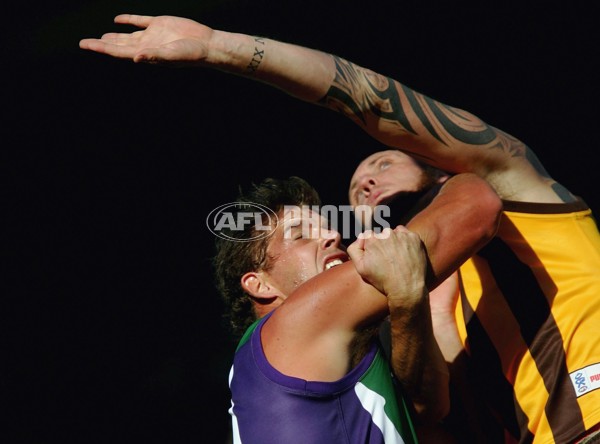 AFL 2006 Rd 1 - Hawthorn v Fremantle - 35359