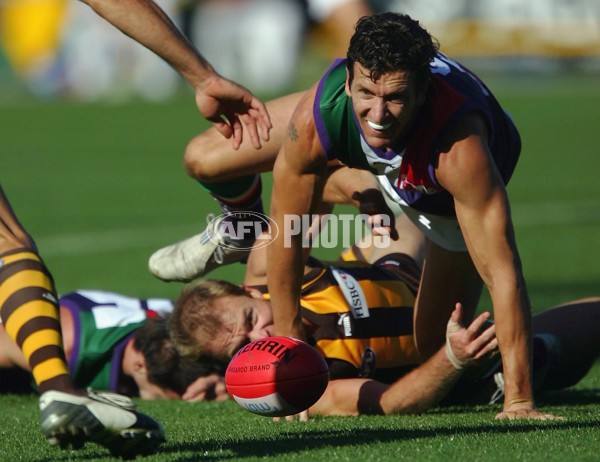AFL 2006 Rd 1 - Hawthorn v Fremantle - 35365