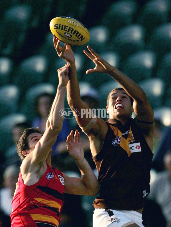 AFL 2006 NAB Cup Rd 2 - Hawthorn v Adelaide - 37619