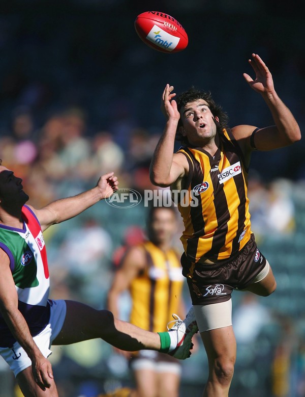AFL 2006 Rd 1 - Hawthorn v Fremantle - 37646