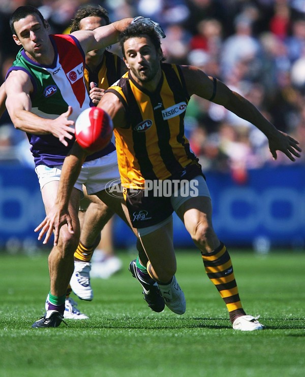 AFL 2006 Rd 1 - Hawthorn v Fremantle - 37643