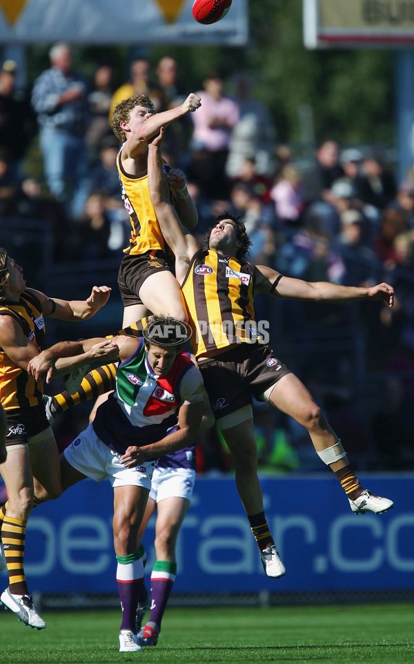 AFL 2006 Rd 1 - Hawthorn v Fremantle - 37645