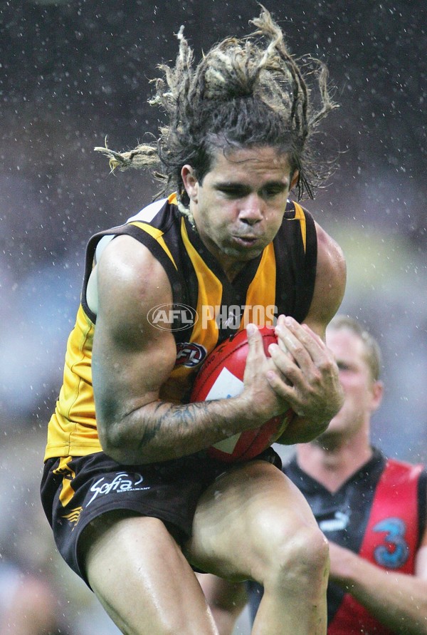 AFL 2006 Rd 5 - Hawthorn v Essendon - 37857