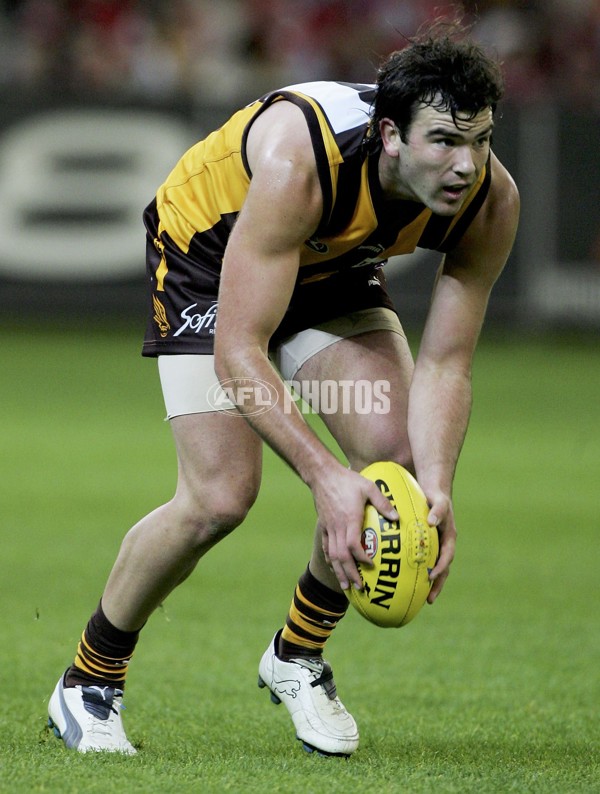 AFL 2006 Rd 9 - Hawthorn v Sydney Swans - 37949