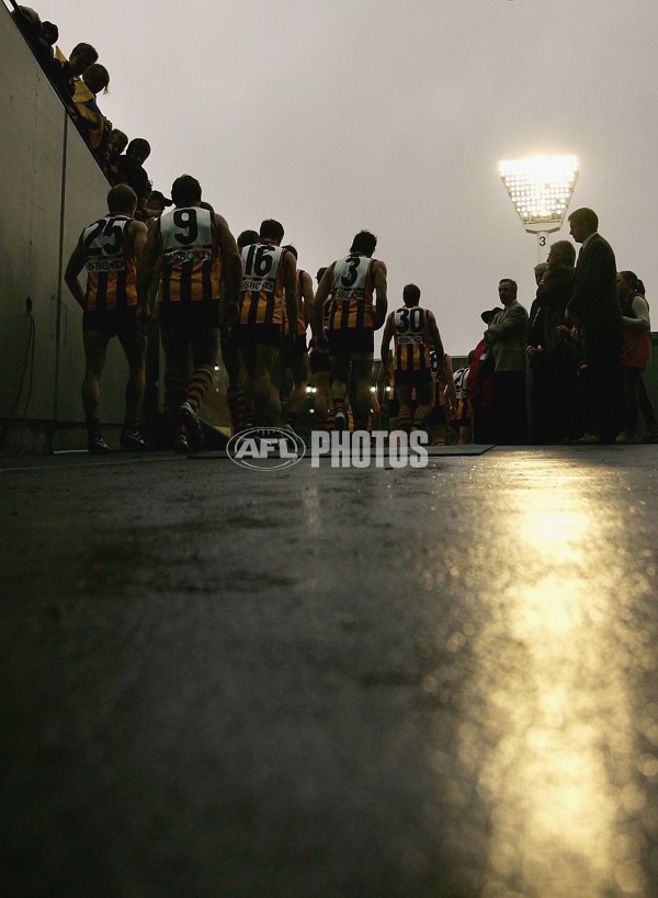 AFL 2006 Rd 5 - Hawthorn v Essendon - 37858