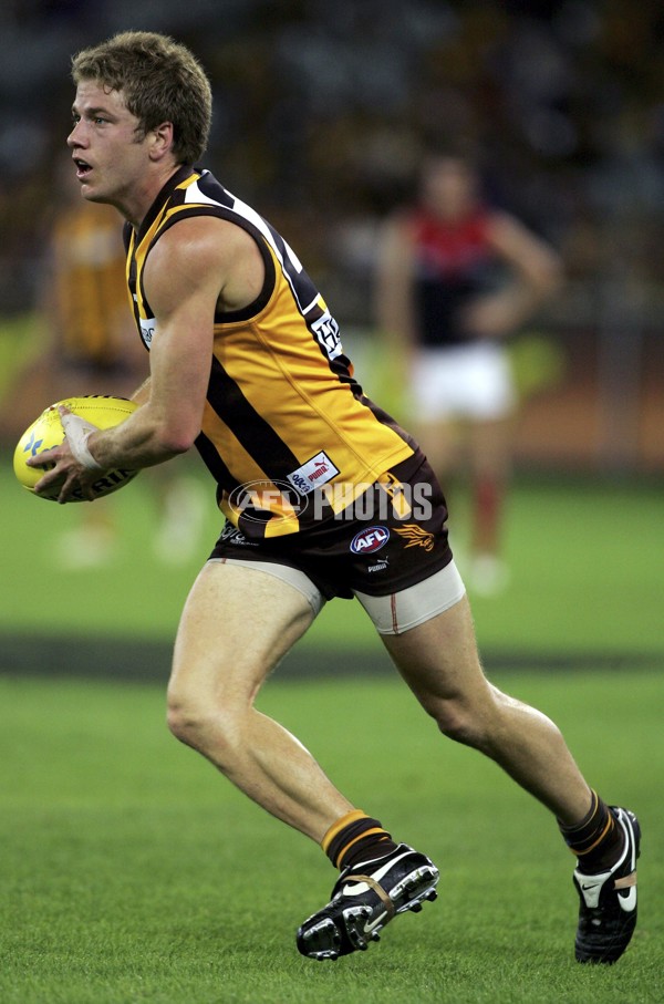 AFL 2006 Rd 8 - Hawthorn v Melbourne - A-36378660