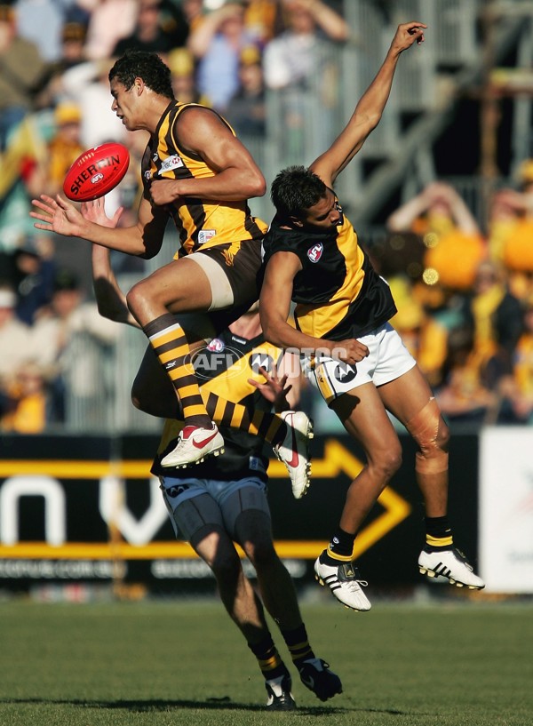 AFL 2006 Rd 12 - Hawthorn v Richmond - 37976