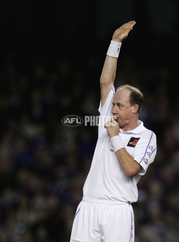 AFL 2006 Rd 16 - Geelong v Western Bulldogs - 38495