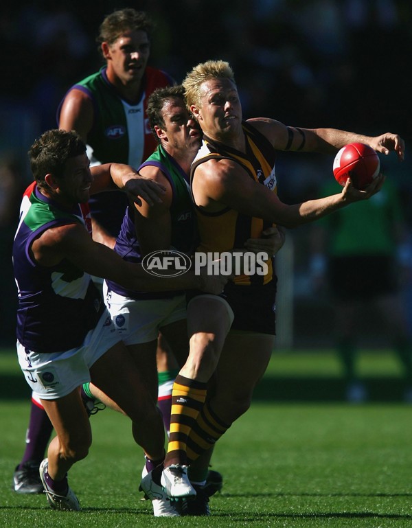 AFL 2006 Rd 1 - Hawthorn v Fremantle - 38510