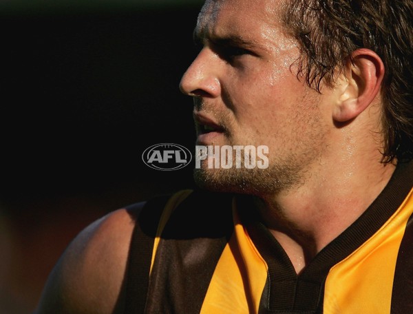 AFL 2006 Rd 12 - Hawthorn v Richmond - 38568