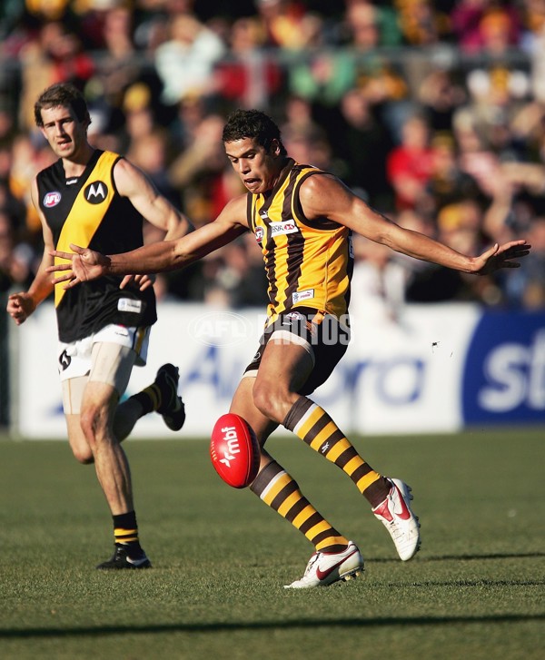 AFL 2006 Rd 12 - Hawthorn v Richmond - 38557