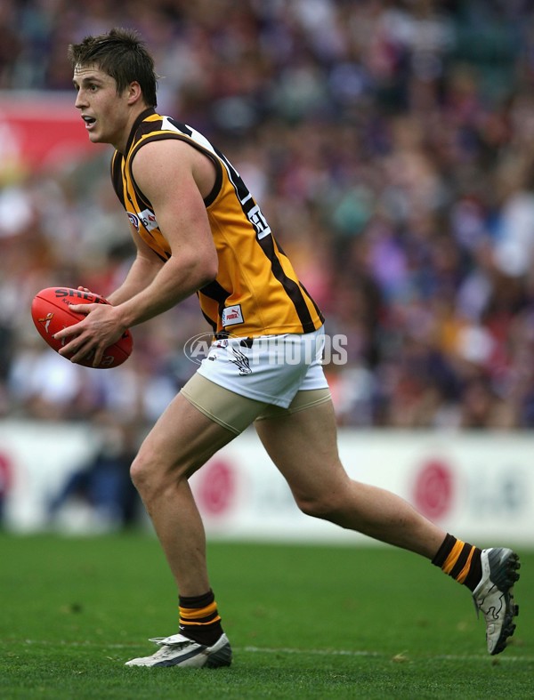 AFL 2006 Rd 18 - Fremantle v Hawthorn - 38605