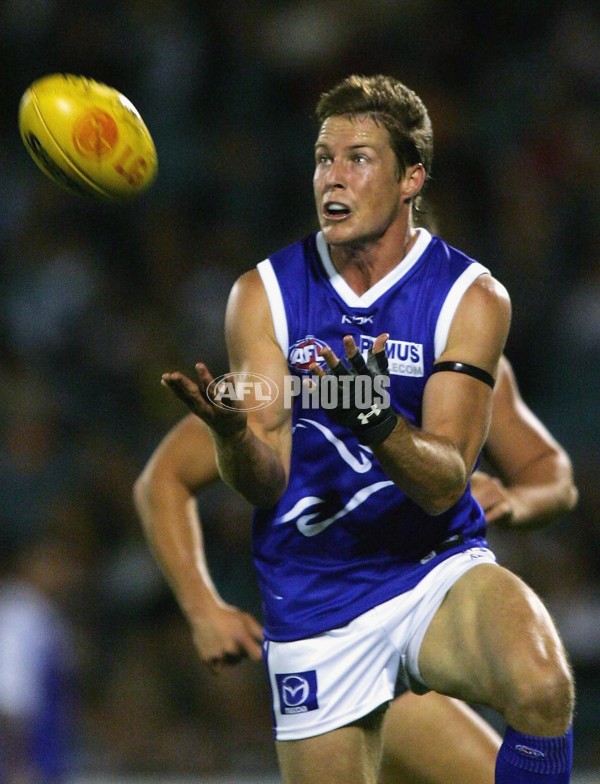 AFL 2006 Rd 1 - Port Adelaide v Kangaroos - 38811
