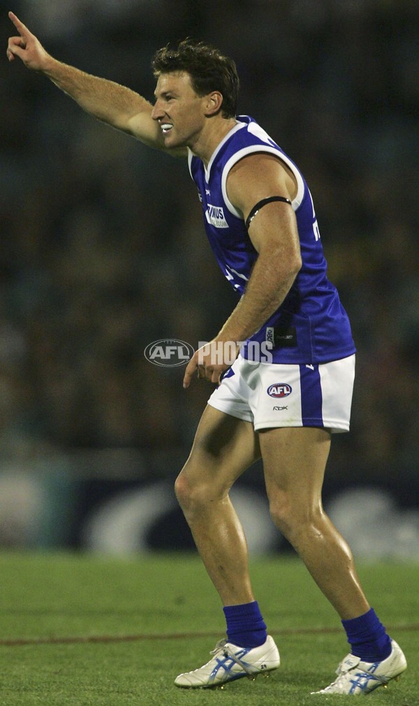 AFL 2006 Rd 1 - Port Adelaide v Kangaroos - 38822