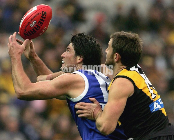 AFL 2006 Rd 11 - Richmond v Kangaroos - 39080
