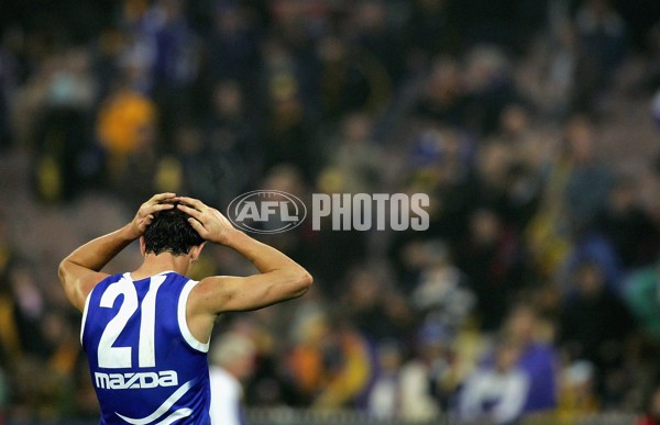 AFL 2006 Rd 11 - Richmond v Kangaroos - 39087