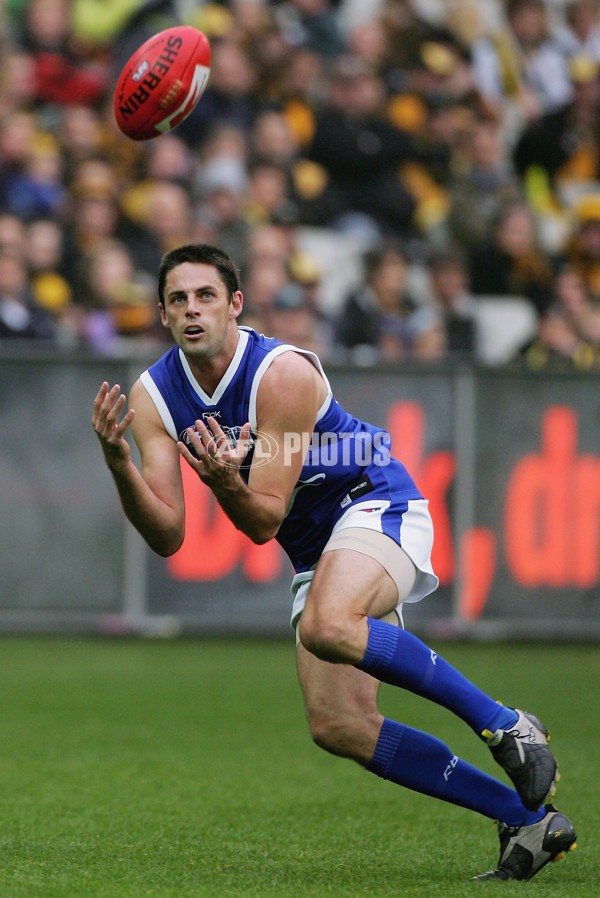 AFL 2006 Rd 11 - Richmond v Kangaroos - 39073