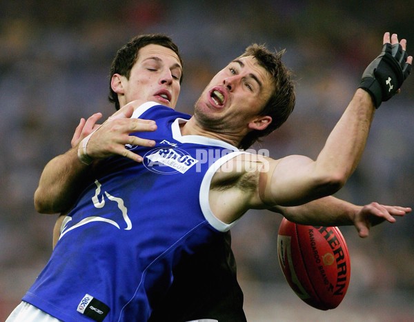 AFL 2006 Rd 11 - Richmond v Kangaroos - 39092