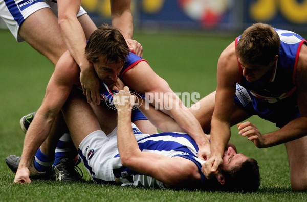 AFL 2006 Rd 14 - Western Bulldogs v Kangaroos - 39184