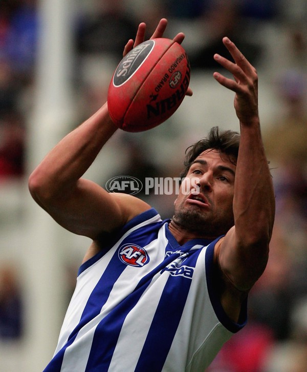 AFL 2006 Rd 14 - Western Bulldogs v Kangaroos - 39186