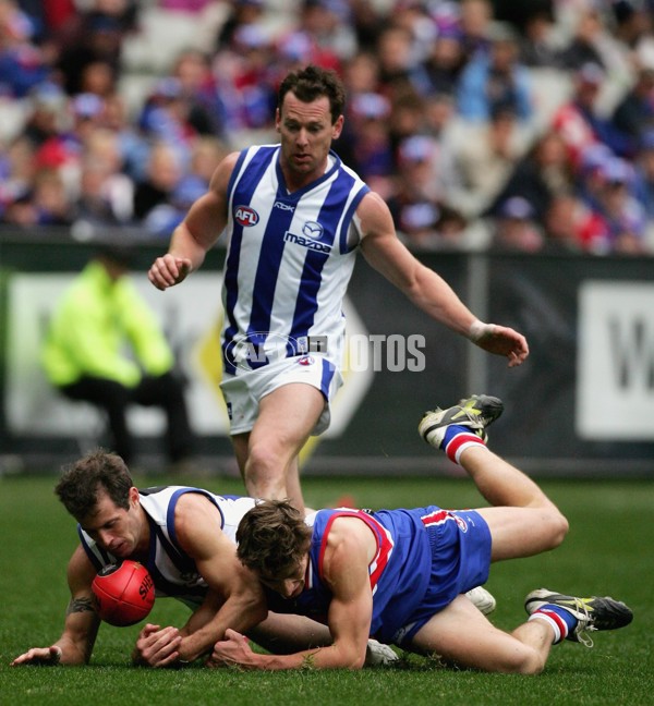 AFL 2006 Rd 14 - Western Bulldogs v Kangaroos - 39189