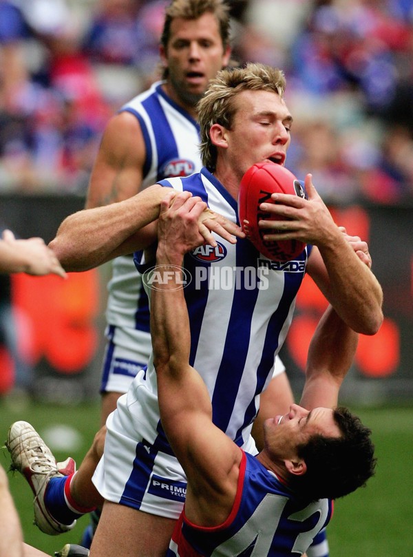 AFL 2006 Rd 14 - Western Bulldogs v Kangaroos - 39202