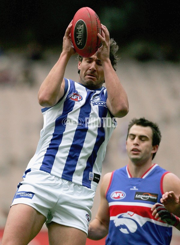 AFL 2006 Rd 14 - Western Bulldogs v Kangaroos - 39187