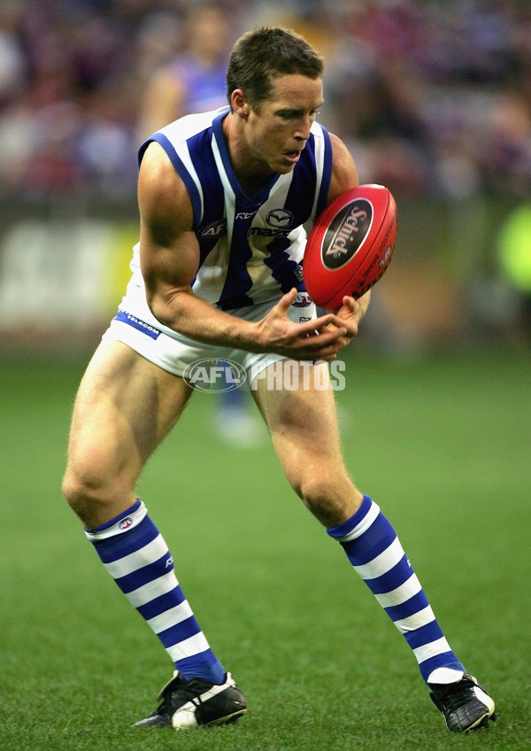 AFL 2006 Rd 14 - Western Bulldogs v Kangaroos - 39203