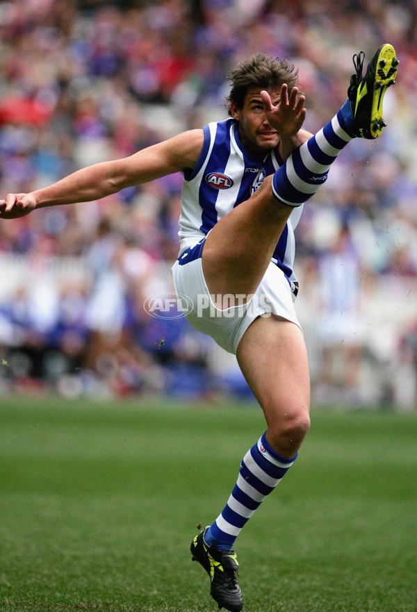 AFL 2006 Rd 14 - Western Bulldogs v Kangaroos - 39213