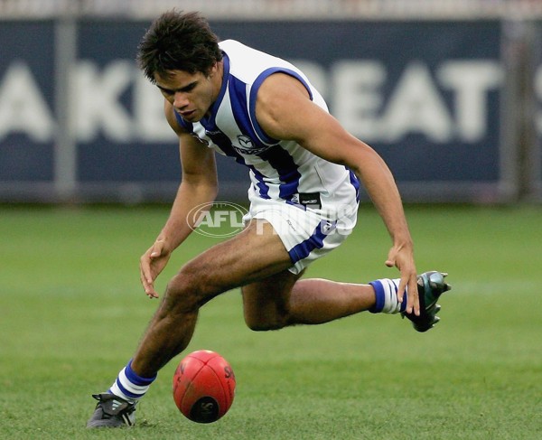 AFL 2006 Rd 14 - Western Bulldogs v Kangaroos - 39217