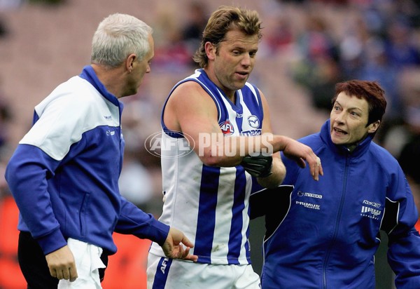 AFL 2006 Rd 14 - Western Bulldogs v Kangaroos - 39191