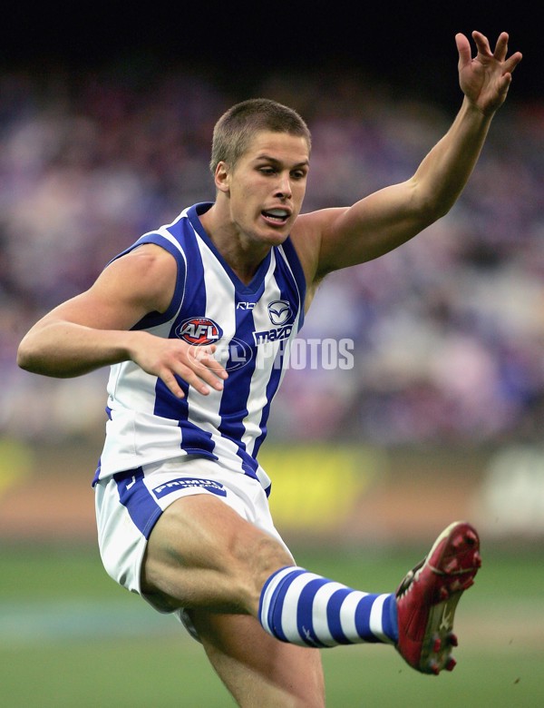 AFL 2006 Rd 14 - Western Bulldogs v Kangaroos - 39208