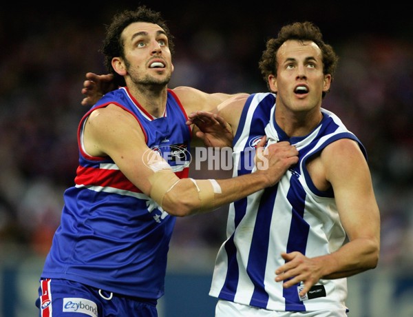 AFL 2006 Rd 14 - Western Bulldogs v Kangaroos - 39198
