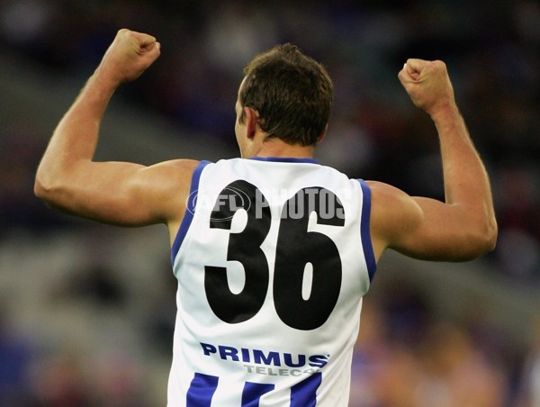 AFL 2006 Rd 14 - Western Bulldogs v Kangaroos - 39194